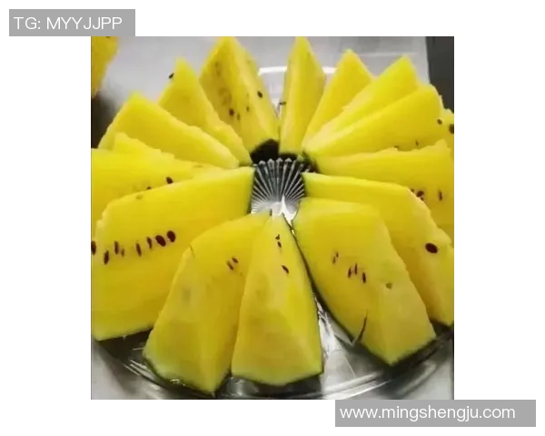 篮球明星西瓜的成长之路与奋斗故事揭秘